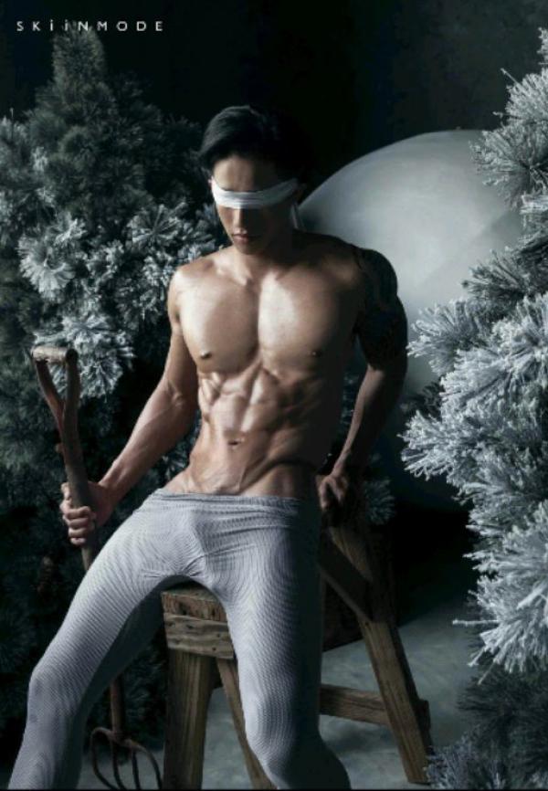 The-Pine-Forest--Special-Christmas-Collection