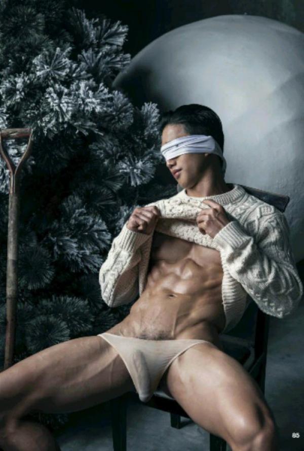 The-Pine-Forest--Special-Christmas-Collection