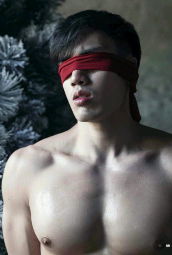 The-Pine-Forest--Special-Christmas-Collection