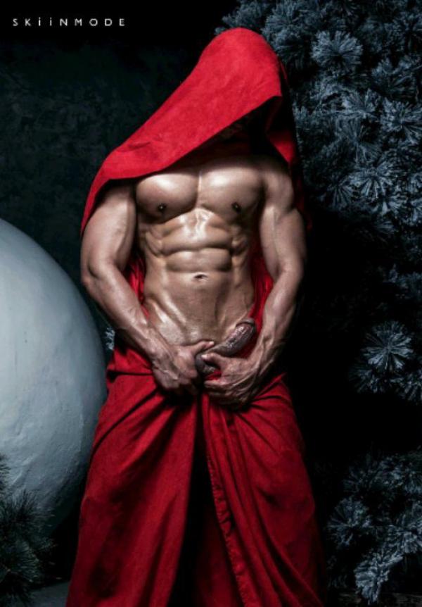 The-Pine-Forest--Special-Christmas-Collection