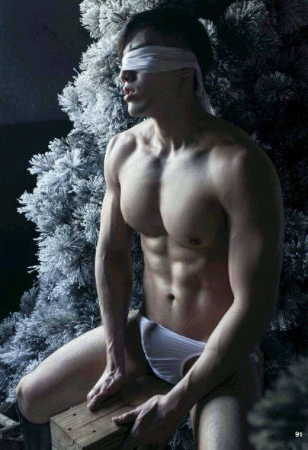 The-Pine-Forest--Special-Christmas-Collection