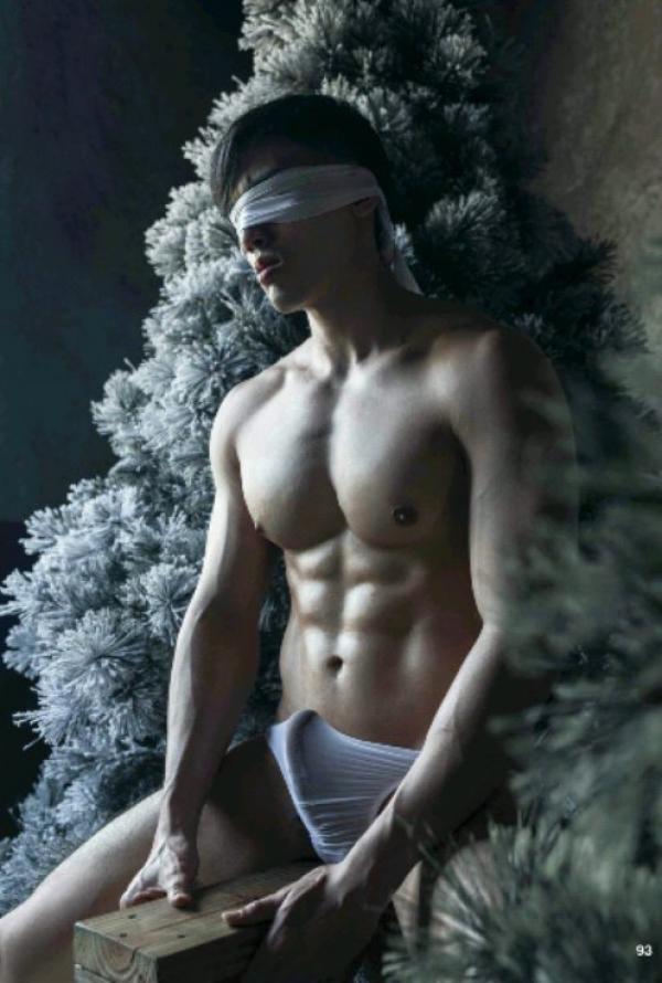 The-Pine-Forest--Special-Christmas-Collection