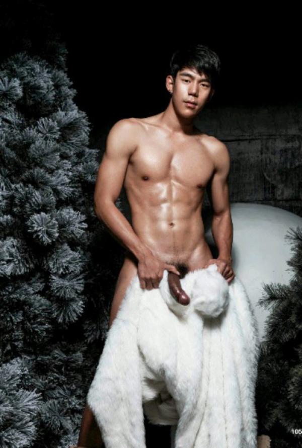 The-Pine-Forest--Special-Christmas-Collection