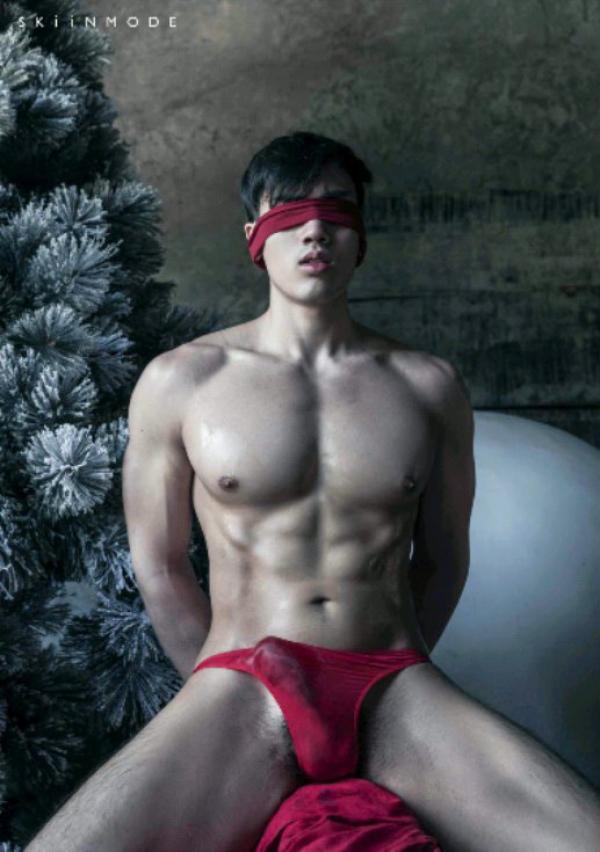 The-Pine-Forest--Special-Christmas-Collection