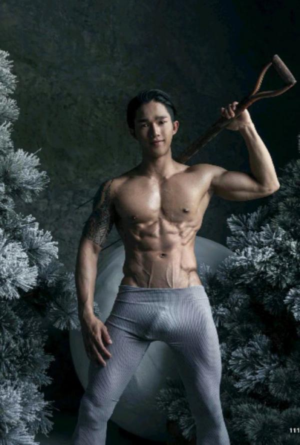 The-Pine-Forest--Special-Christmas-Collection