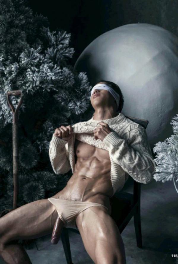 The-Pine-Forest--Special-Christmas-Collection