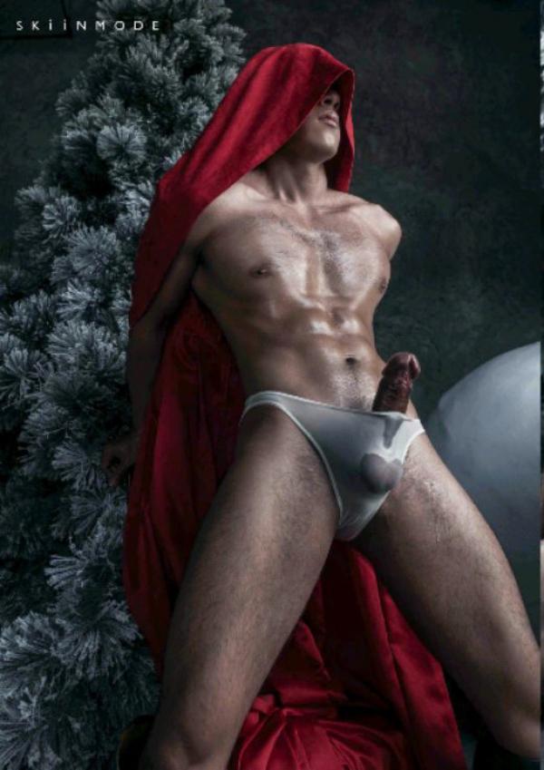 The-Pine-Forest--Special-Christmas-Collection