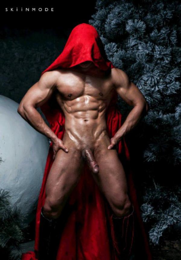 The-Pine-Forest--Special-Christmas-Collection