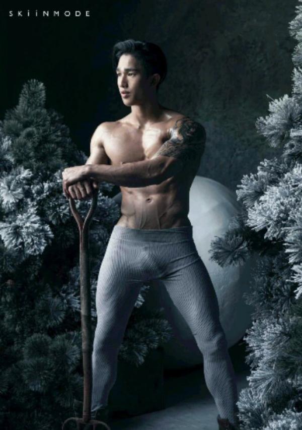 The-Pine-Forest--Special-Christmas-Collection