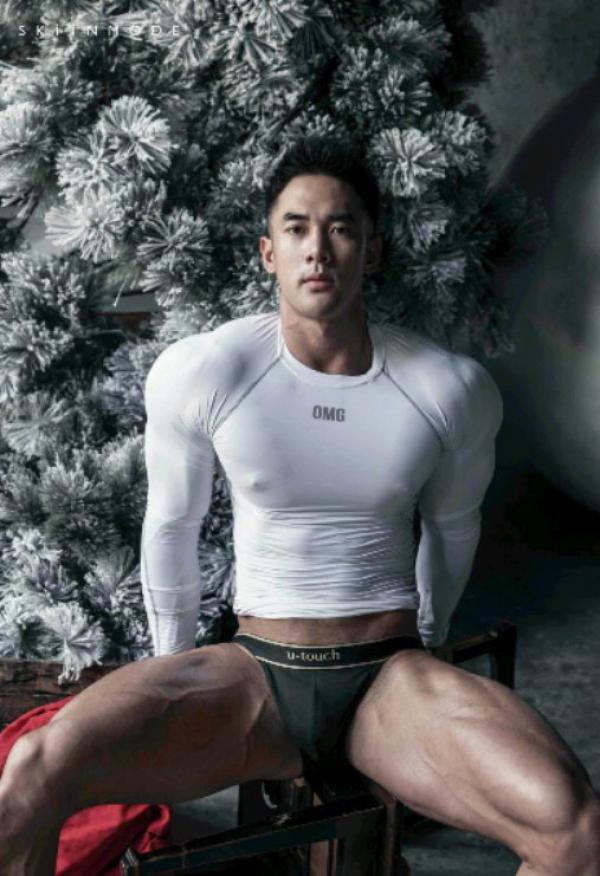 The-Pine-Forest--Special-Christmas-Collection