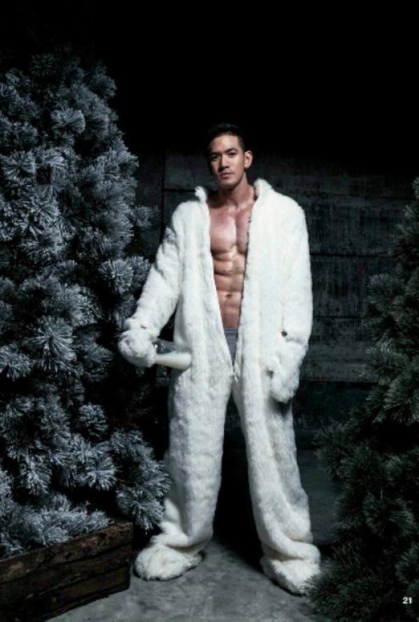 The-Pine-Forest--Special-Christmas-Collection