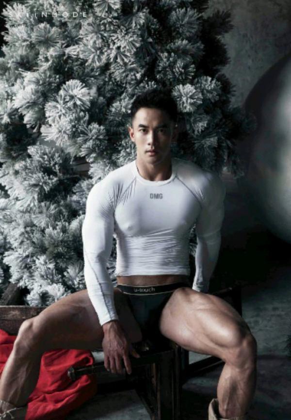 The-Pine-Forest--Special-Christmas-Collection