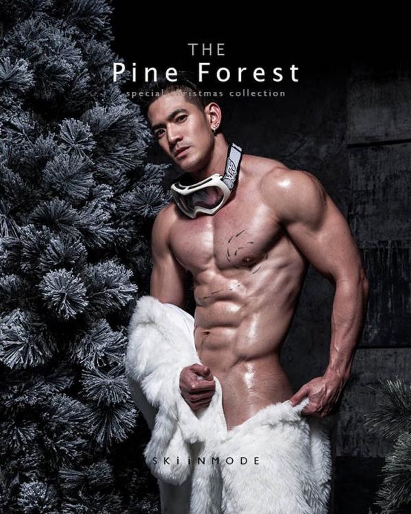 The-Pine-Forest--Special-Christmas-Collection