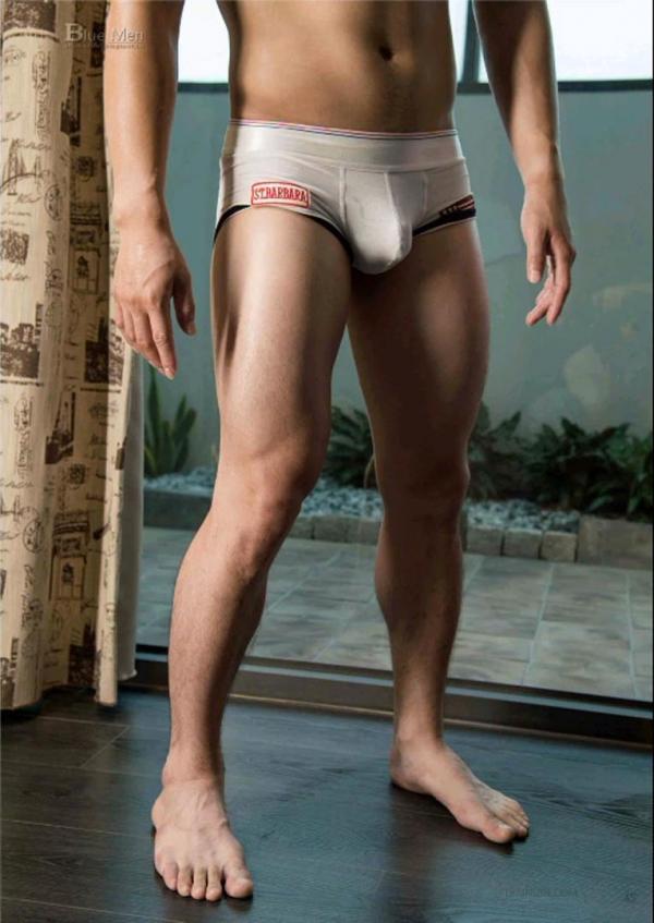 Virile-No.30-EbookVideo