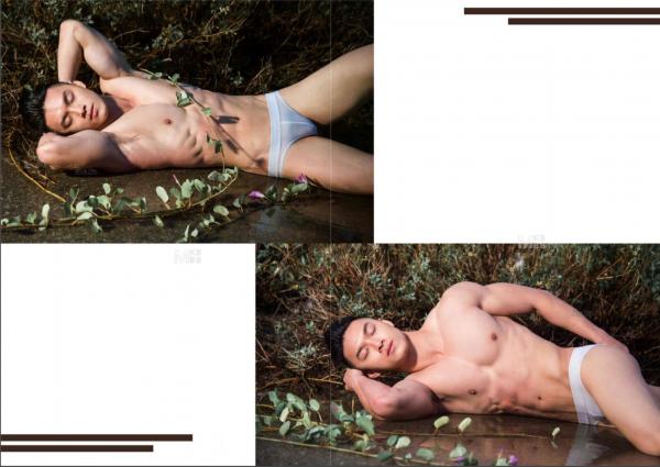 Virile-no.05-ebook--video