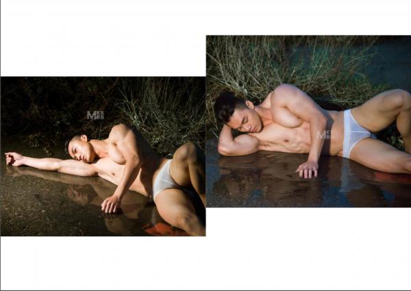 Virile-no.05-ebook--video