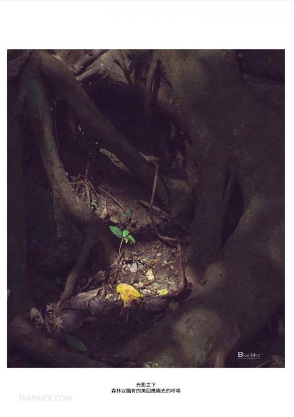 Whose-Man-No.32-EbookVideo