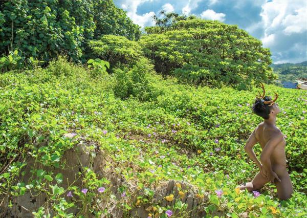 Whose-Man-No.55-EbookVideo