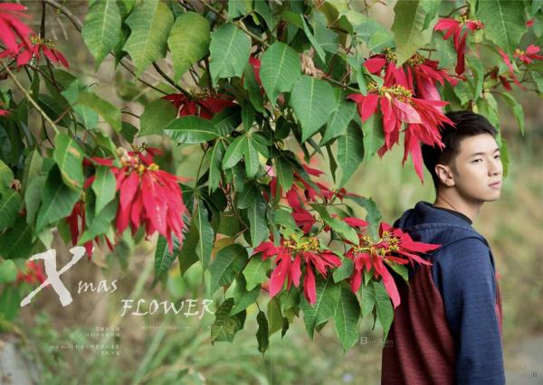 Whose-Man-No.81-EbookVideo