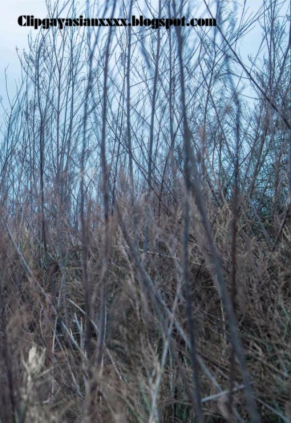 Whoseman-37-神秘的藝術工作者-REVISED-VERSION--吳敵