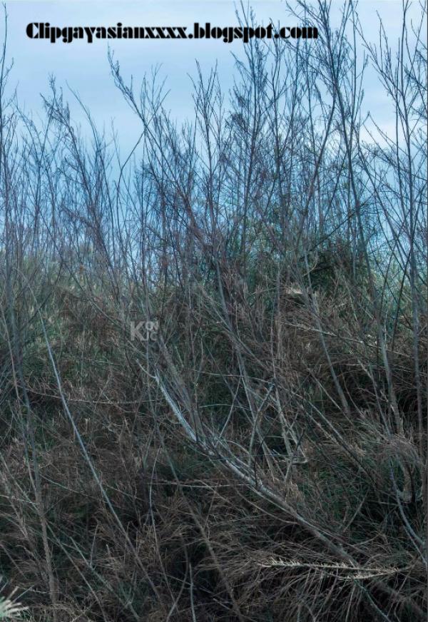 Whoseman-37-神秘的藝術工作者-REVISED-VERSION--吳敵