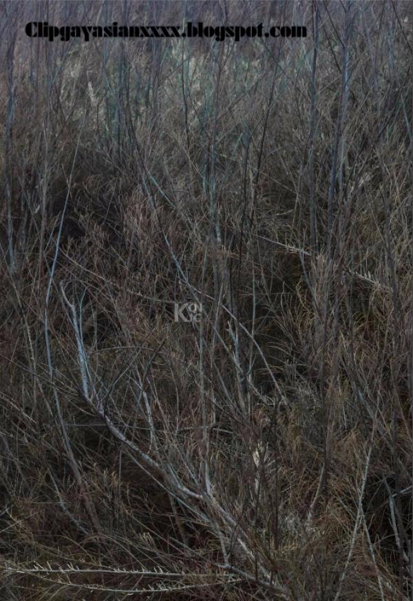 Whoseman-37-神秘的藝術工作者-REVISED-VERSION--吳敵