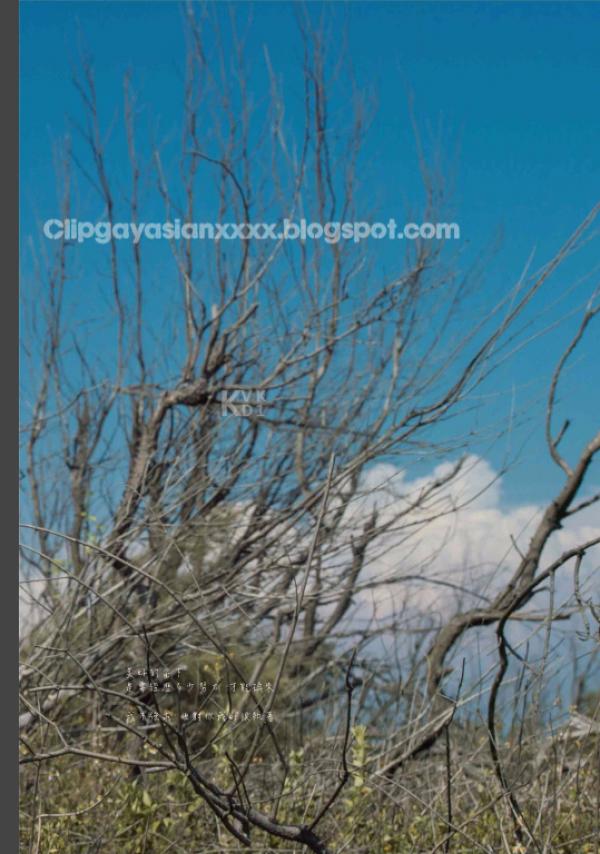 Whoseman-48-窺看優雅男神的碩大--拉斐爾