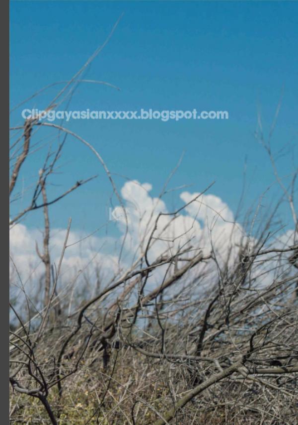 Whoseman-48-窺看優雅男神的碩大--拉斐爾