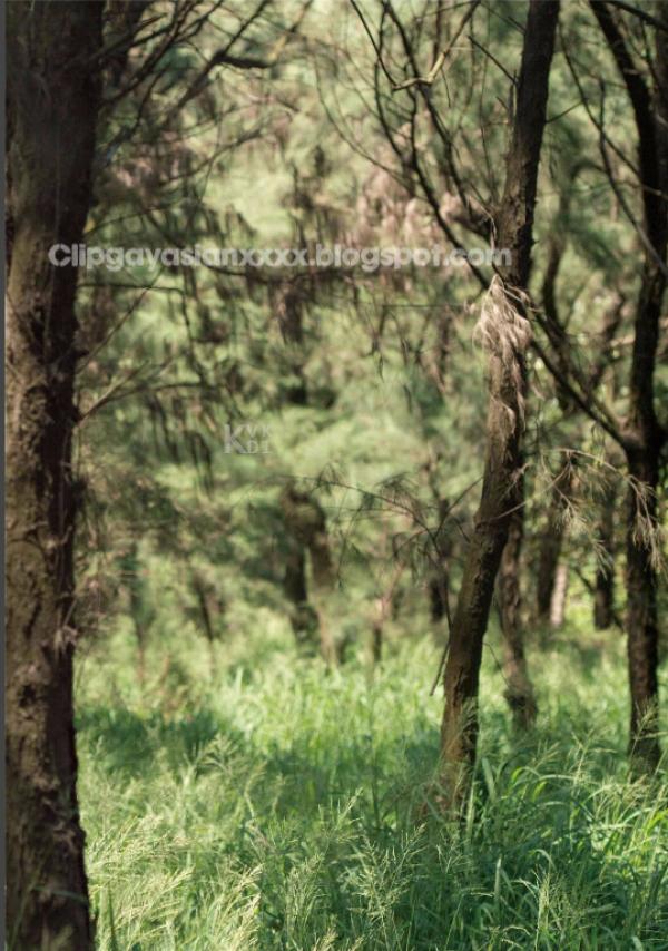 Whoseman-48-窺看優雅男神的碩大--拉斐爾