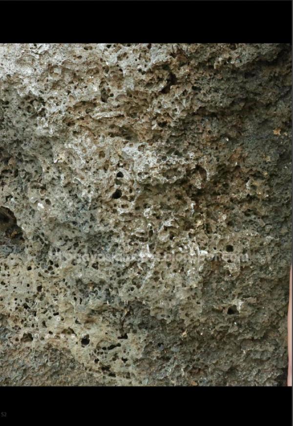 Whoseman-NO.49-人魚王子的愛情魔法--阿部--安東尼