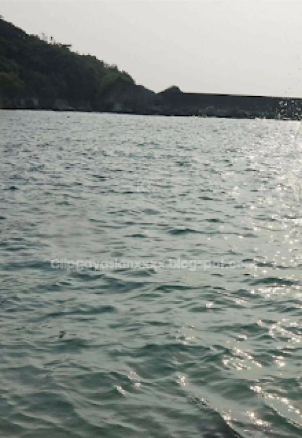 Whoseman-NO.49-人魚王子的愛情魔法--阿部--安東尼