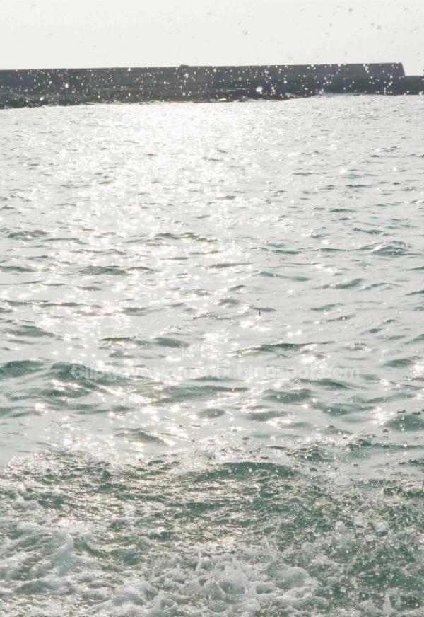 Whoseman-NO.49-人魚王子的愛情魔法--阿部--安東尼