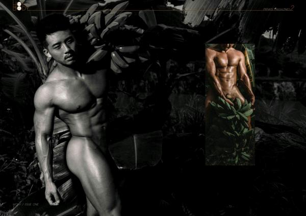 Wow-Issue-1--Part-1-2--EbookVideo-