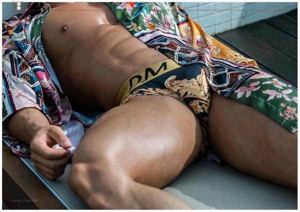 Wow-Issue-1--Part-1-2--EbookVideo-