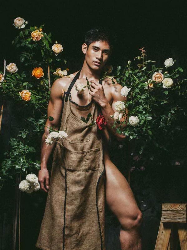 XPERIMENT--Rose-Garden