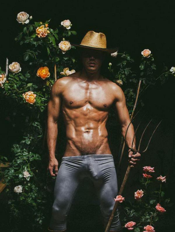 XPERIMENT--Rose-Garden