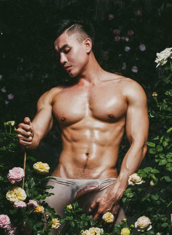 XPERIMENT--Rose-Garden