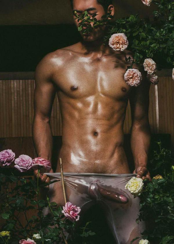 XPERIMENT--Rose-Garden