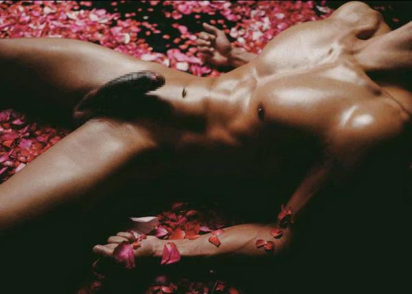 XPERIMENT--Rose-Garden