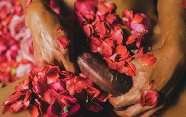 XPERIMENT--Rose-Garden