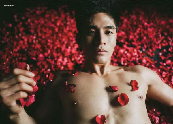 XPERIMENT--Rose-Garden