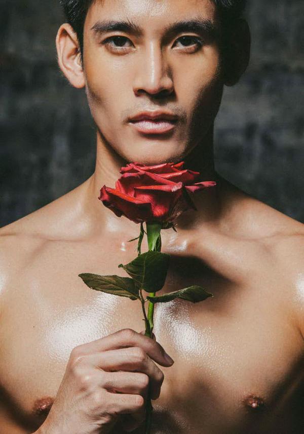 XPERIMENT--Rose-Garden