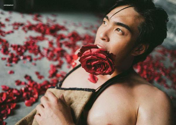 XPERIMENT--Rose-Garden