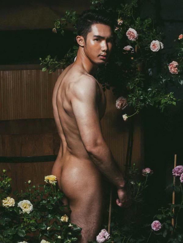 XPERIMENT--Rose-Garden