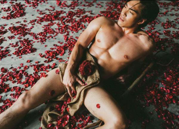 XPERIMENT--Rose-Garden