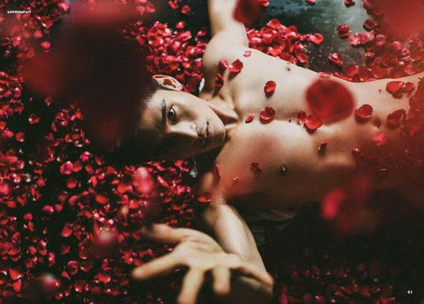 XPERIMENT--Rose-Garden