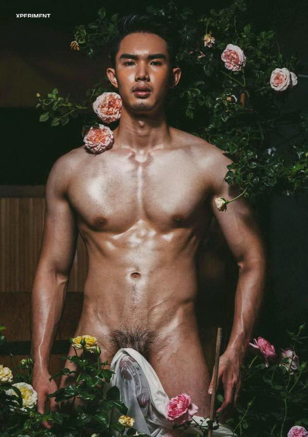 XPERIMENT--Rose-Garden