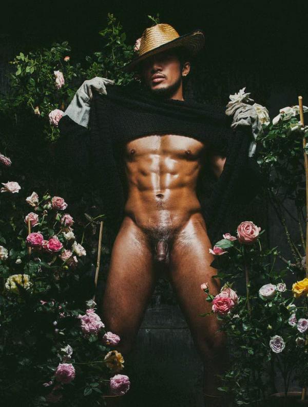 XPERIMENT--Rose-Garden