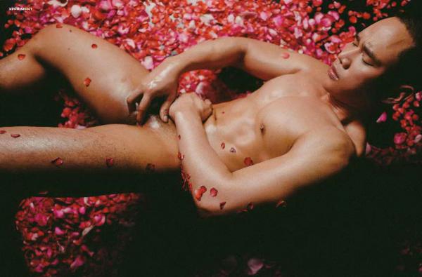 XPERIMENT--Rose-Garden