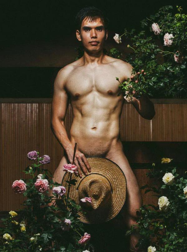 XPERIMENT--Rose-Garden